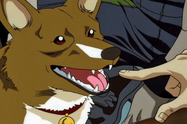 野良犬のストラット