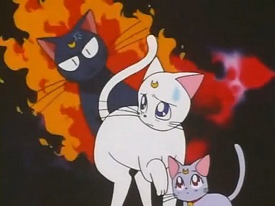 アルテミスの浮気?謎の子猫登場