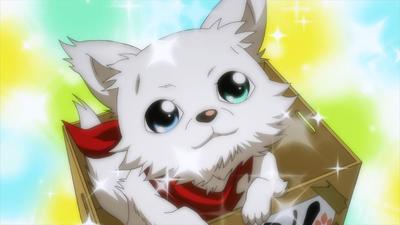 縮んど～るやな～いか!