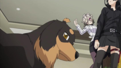 犬も鳴かずば撃たれまい