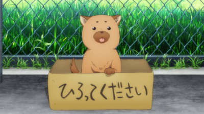 いぬは三日飼えば三年恩を忘れぬ