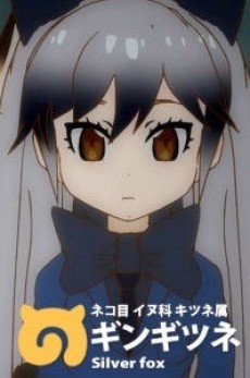 ギンギツネ