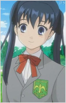 シュトラウスキー・メグミカ