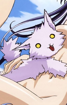 カンデンヤマネコ