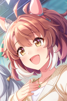 ダンツフレーム