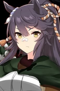 ミカサ・アッカーマン